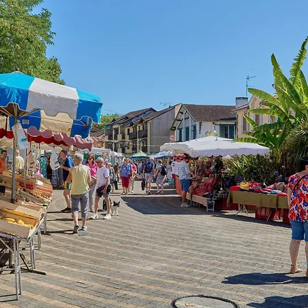 Appartement Climatise Avec Jardin Et Wifi - 2 Pers. - Animaux Admis - Fr-1-841-11 *