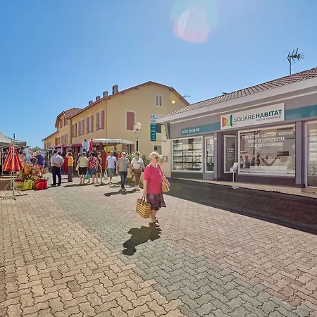 Climatise Avec Jardin Et Wifi - 2 Pers. - Animaux Admis - Fr-1-841-11 Barbotan-les-Thermes