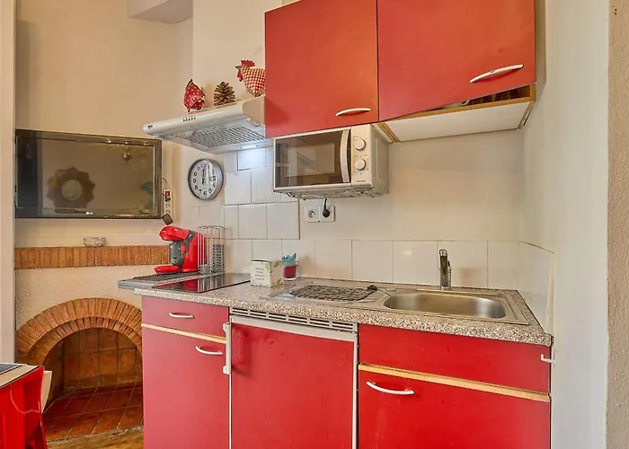 Appartement Climatise Avec Jardin Et Wifi - 2 Pers. - Animaux Admis - Fr-1-841-11