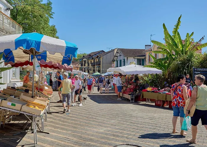 Appartement Climatise Avec Jardin Et Wifi - 2 Pers. - Animaux Admis - Fr-1-841-11 *