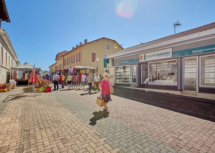 Climatise Avec Jardin Et Wifi - 2 Pers. - Animaux Admis - Fr-1-841-11 Barbotan-les-Thermes